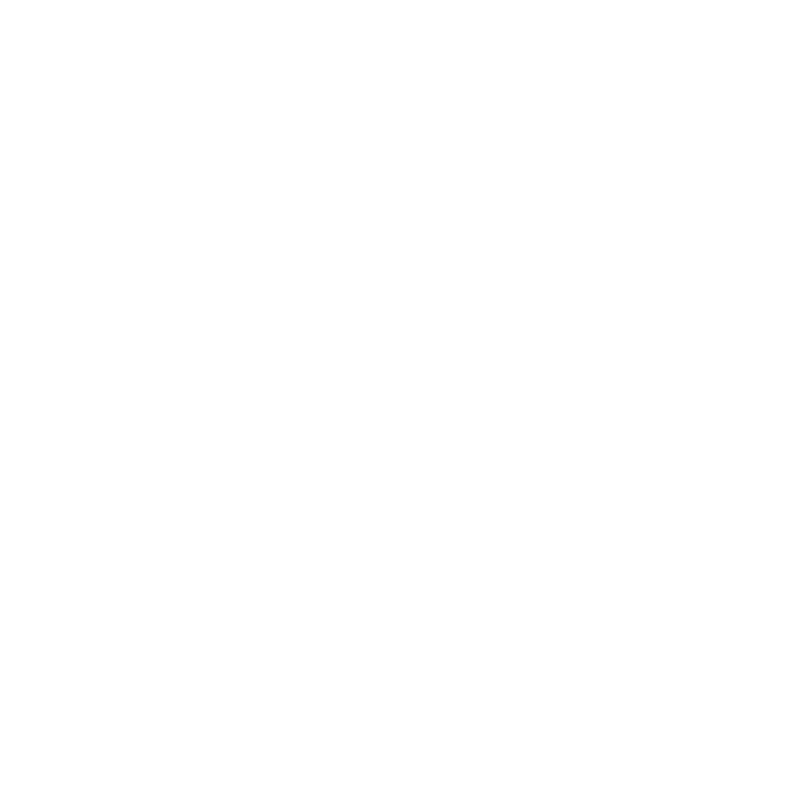 Bullas Logo in White