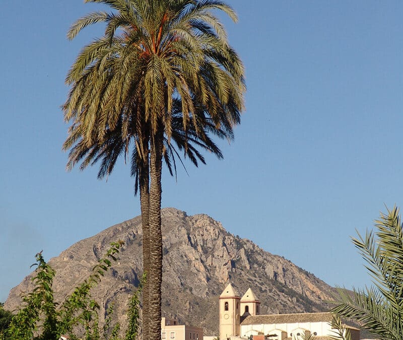 La belleza de la Navidad está en el interior… de la Región de Murcia