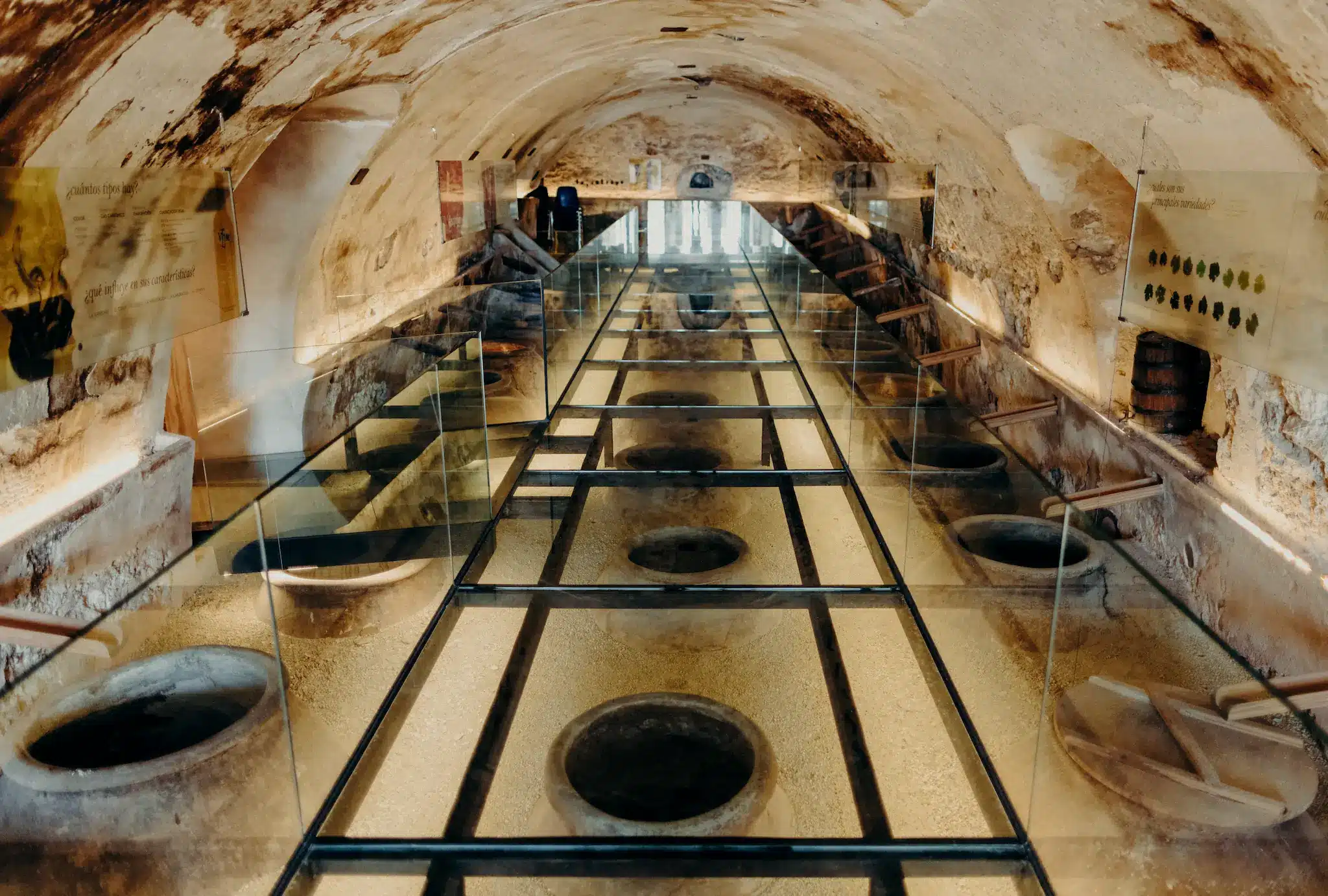 葡萄酒学校 - Imagen 2