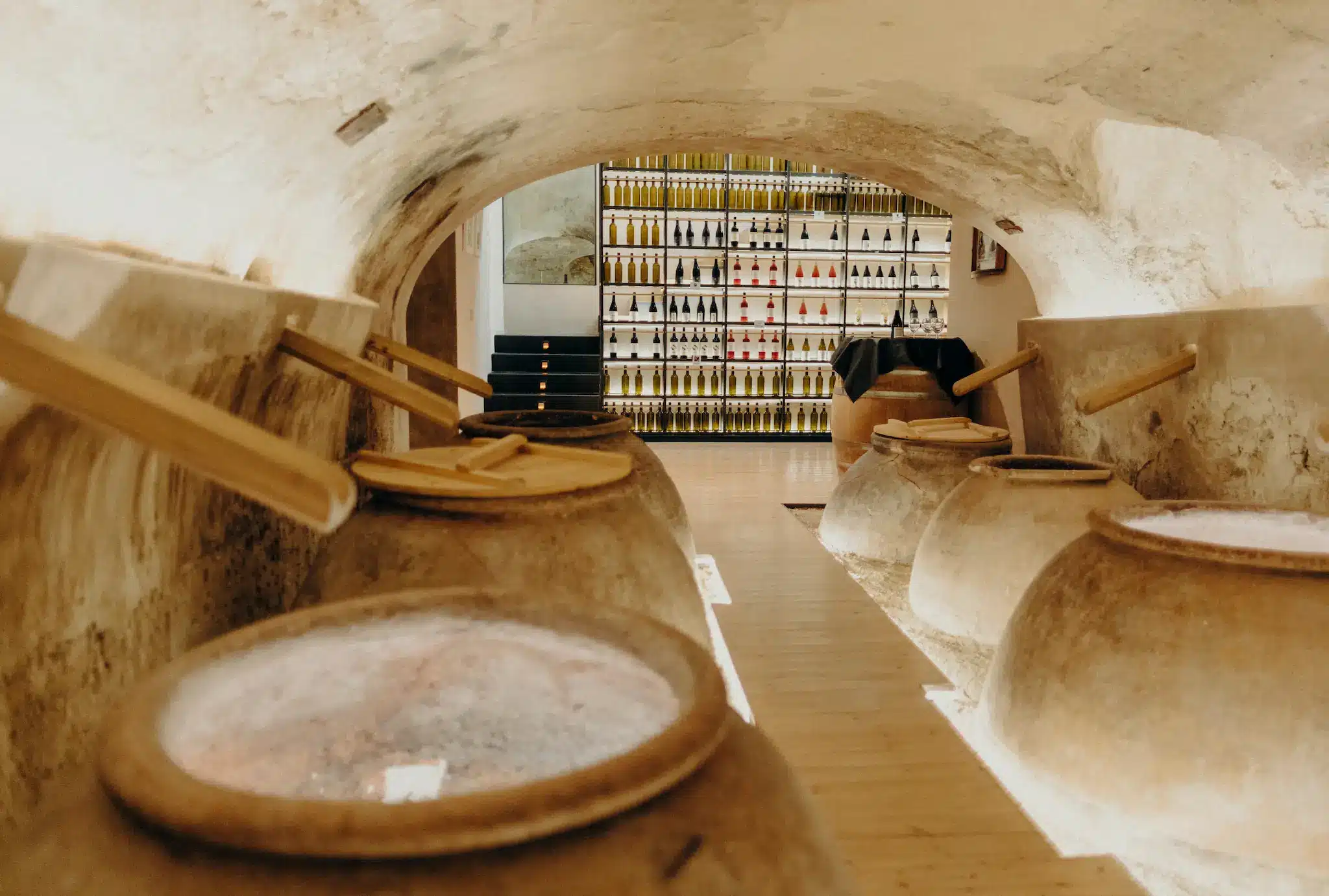 葡萄酒学校 - Imagen 3