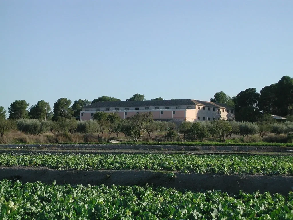 vinedo bodega tercia de ulea