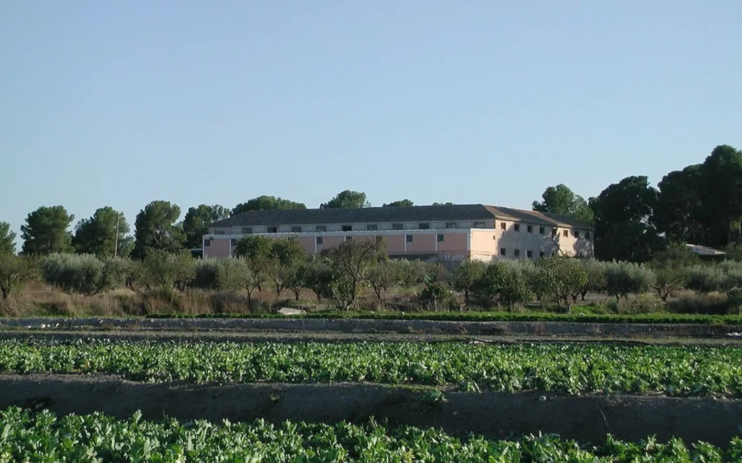 Bodega Tercia de Ulea