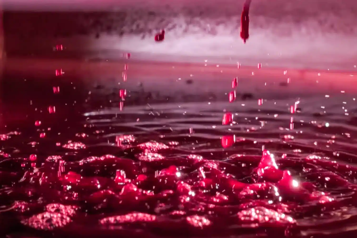 Bodega Monastrell - Imagen 2