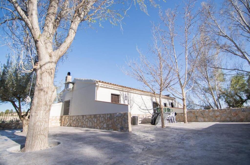 Mirador