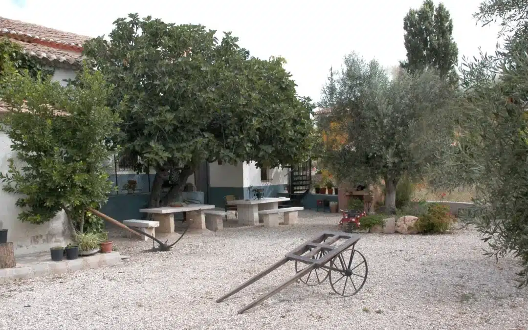 Casa Reina – Campo de Arriba