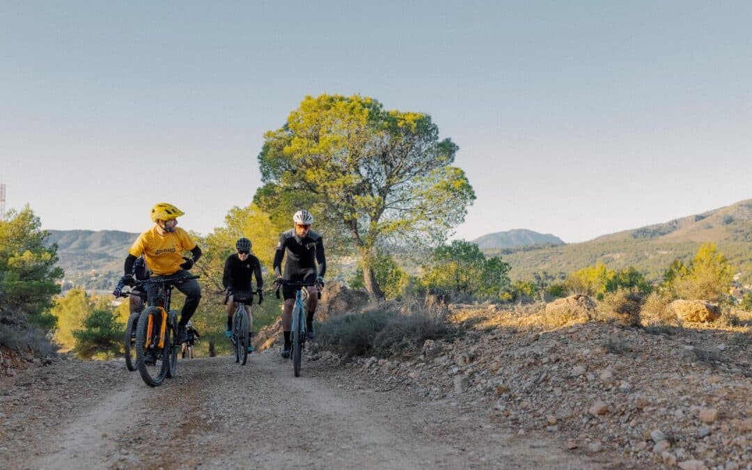 RUTA EN BICI 6: MOUNTAIN BIKE EN ESTADO PURO