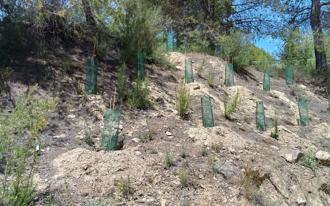 La Ruta Verde del Noroeste contará con nuevas zonas verdes y de sombra