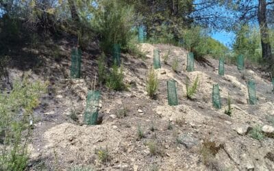 1788954783378 La Ruta Verde del Noroeste contará con nuevas zonas verdes y de sombra