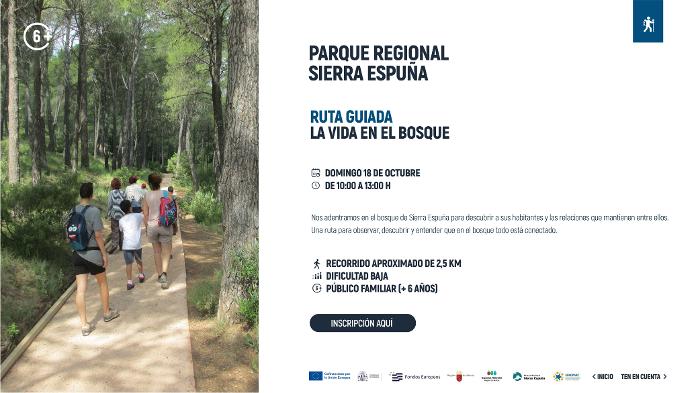 m448051-la-vida-en-el-bosque-2-g